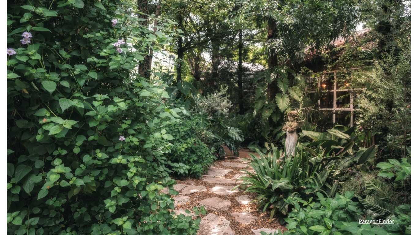 Best 10 Flowers thrive into shady gardens