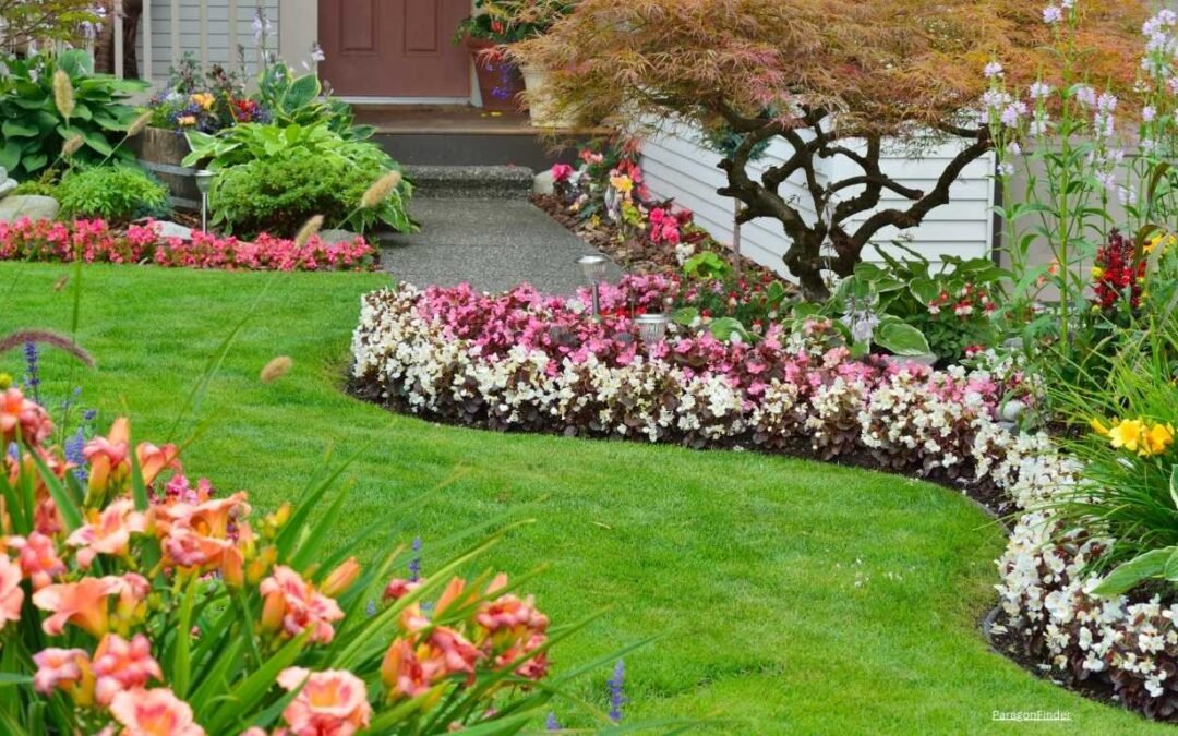 Best Annual Flowers Full Sun