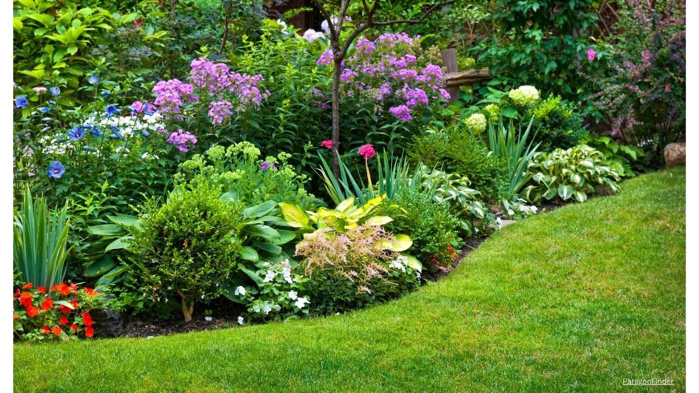 Best Annual Flowers Full Sun