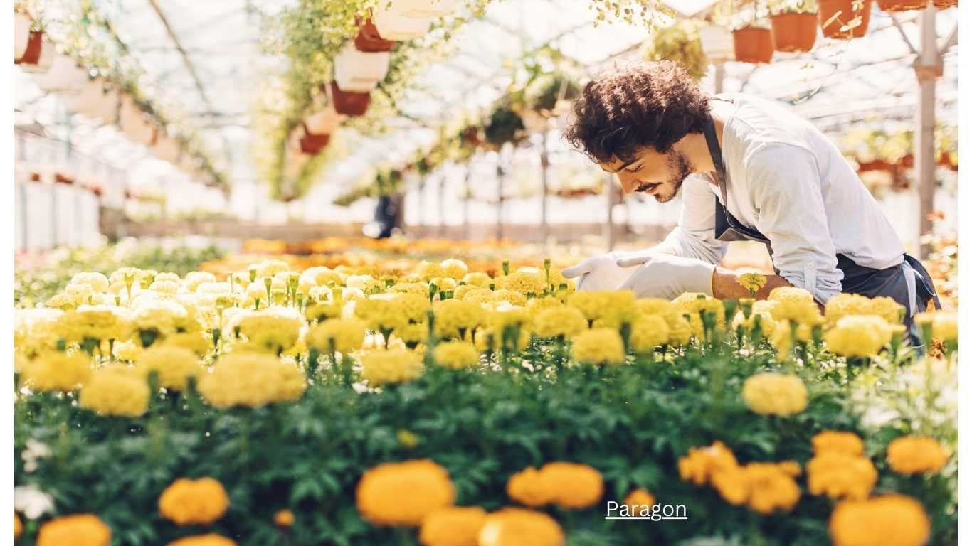 How to keep flowers fresh in a car?