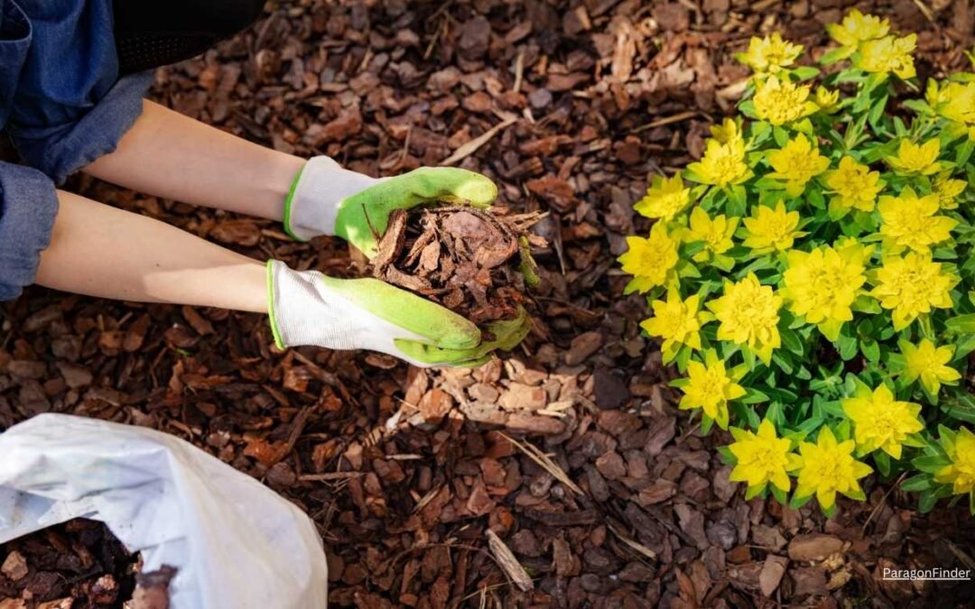 Will Flower Seeds Grow in Mulch?