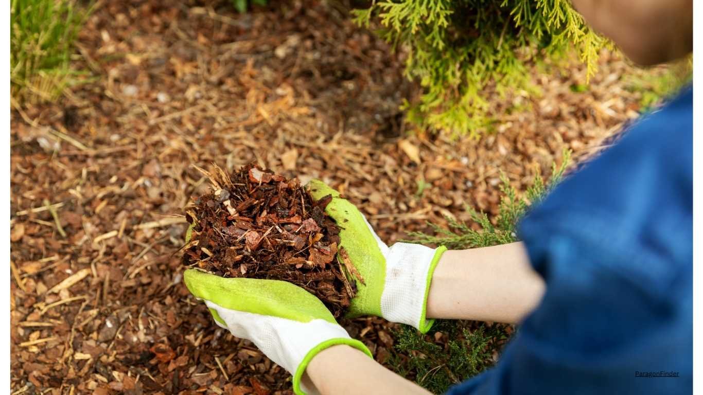 Will Flower Seeds Grow in Mulch?