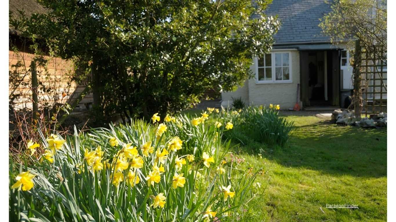 Top 10 Flowering Trees to Make Your Yard a Stunning Centerpiece