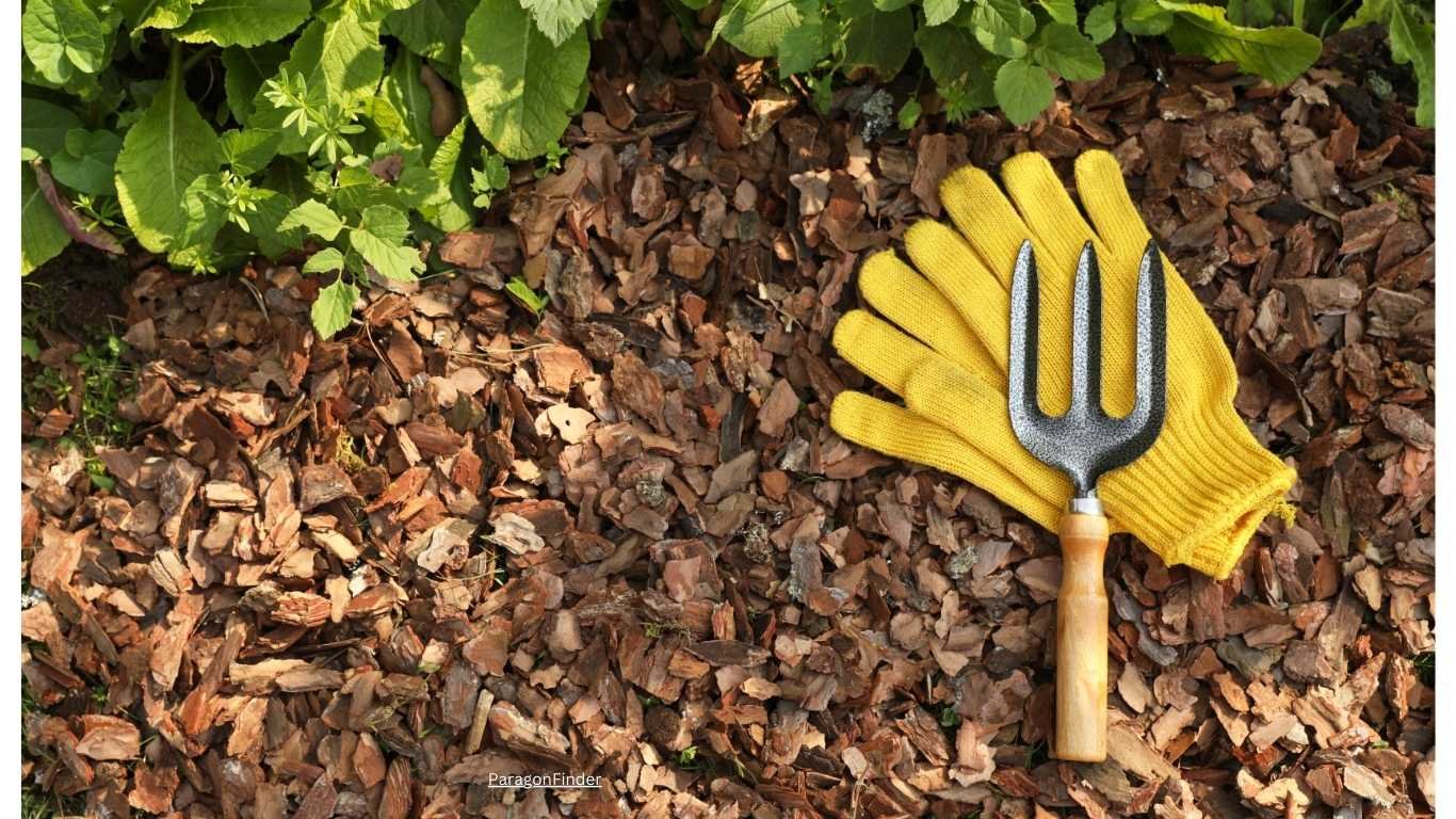 Using a Fork for Weeding: A Handy Gardening Tool