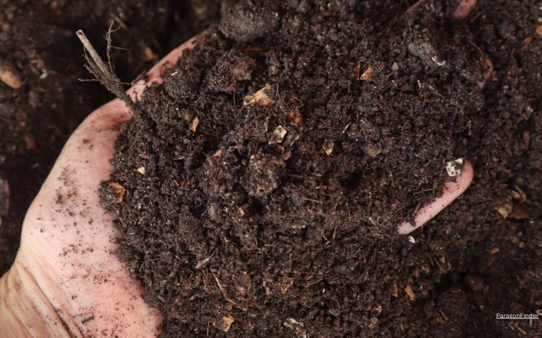 How to amend sandy soil