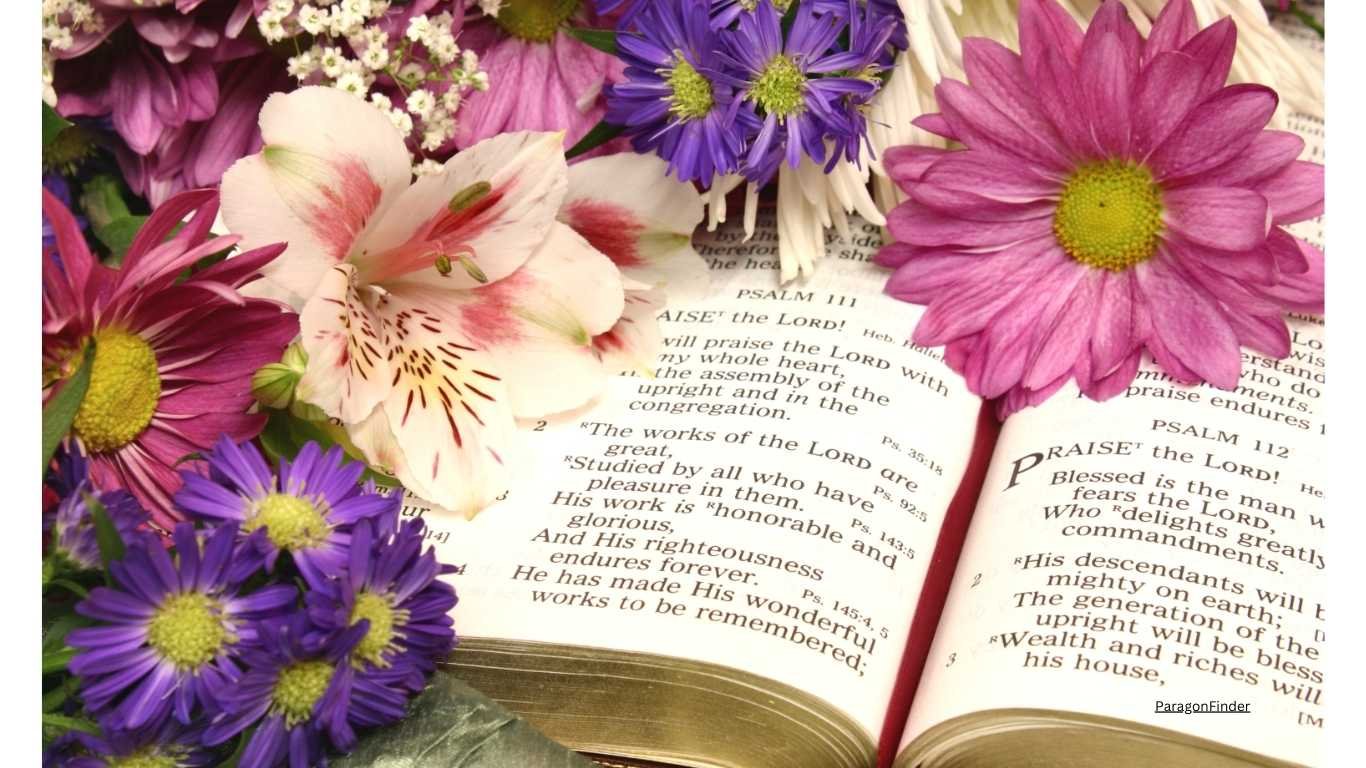 Which flower is known as flower of god